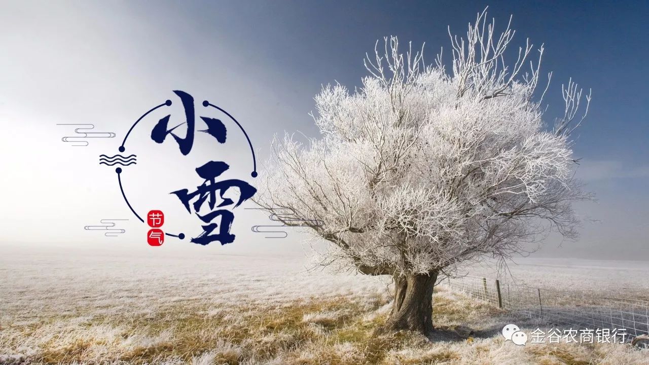 智能气象新纪元揭秘，今日小雪天气揭晓！