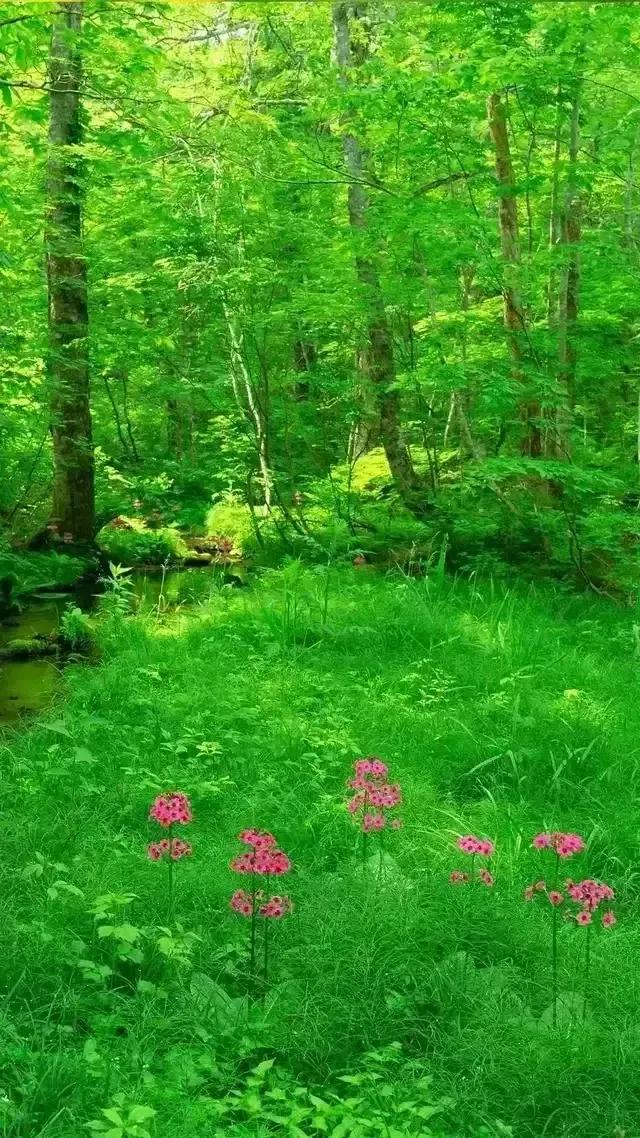 📱呵护双眼，推荐最护眼高的手机重磅来袭！