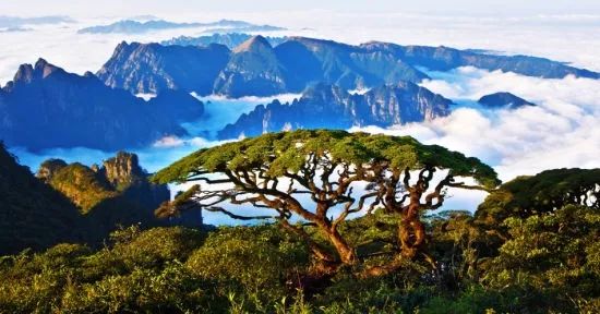 自然美景探秘之旅