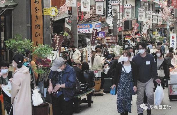 日本最新疫情动态与小巷独特小店的独特故事