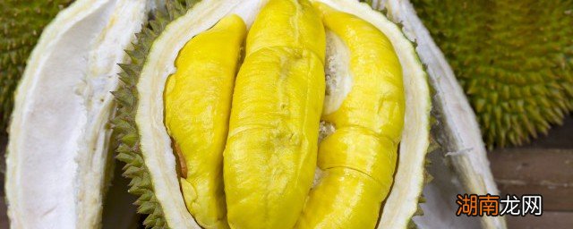 深秋榴莲探秘，榴莲的季节是否延续至深秋？