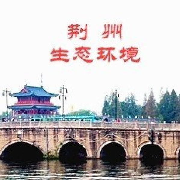 荆州市长被查
