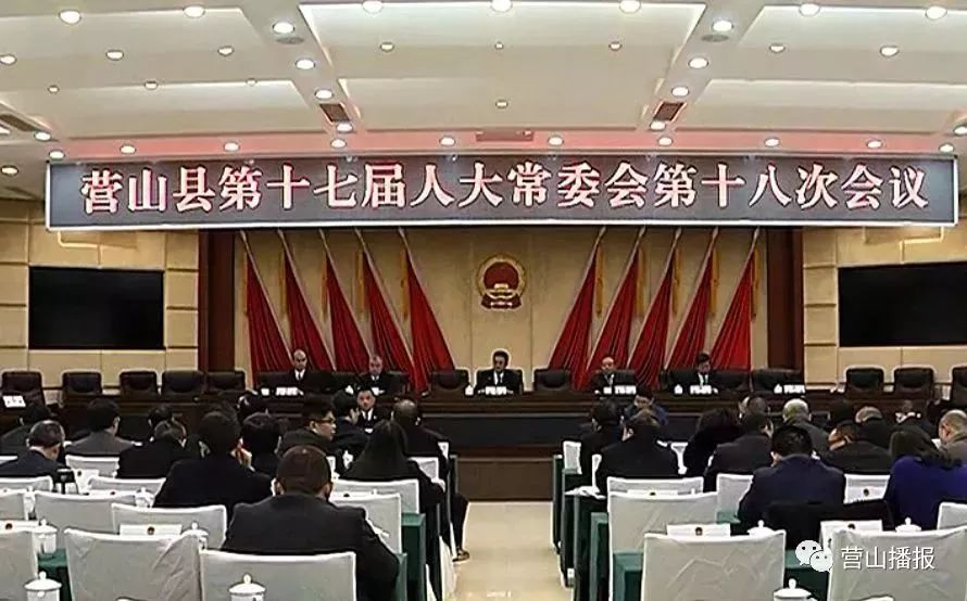 菏泽人事任免最新动态，力量变革与成就之路的新起点