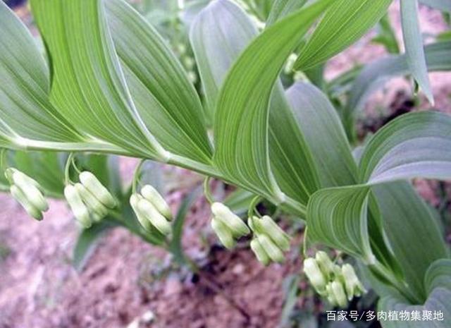 办公设备 第377页