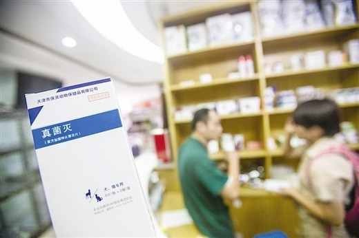 神秘宝藏揭秘，特色小店带你探寻最新兽药之旅