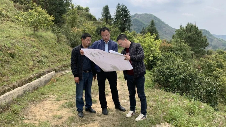 林业局改革最新动态，坚定迈向绿色发展之路