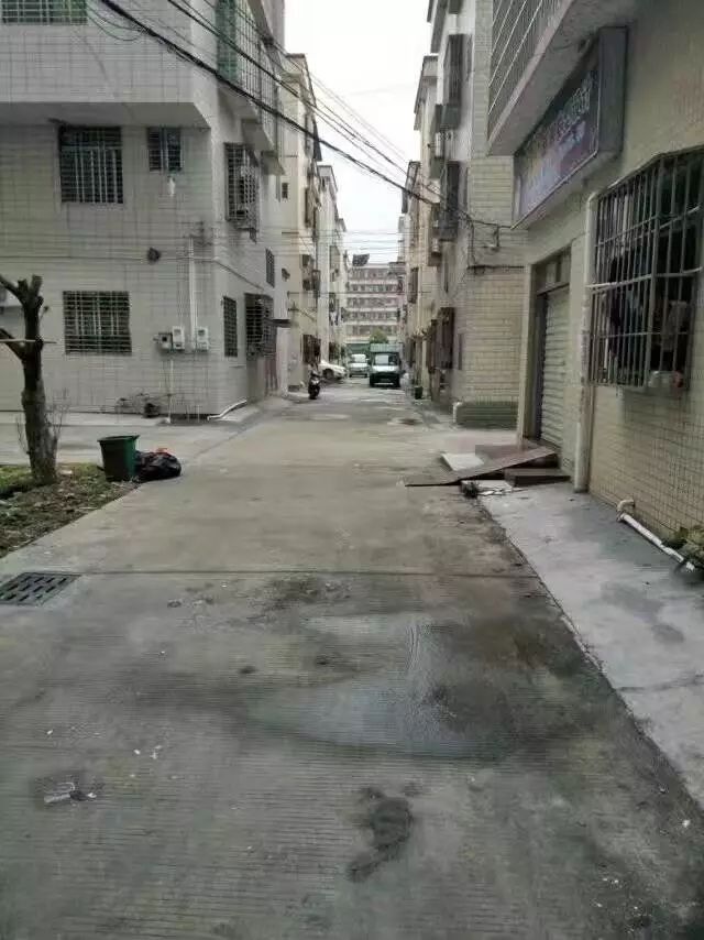开平水口最新招聘信息揭秘，小巷中的隐藏职位探秘！