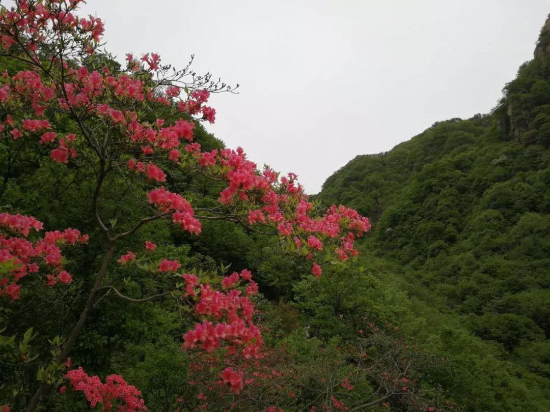 最新苹果手游，温情与欢笑的日常体验
