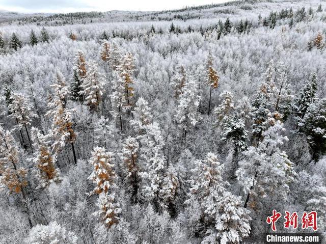 漠河雪落，中国最北城市的冬季风采
