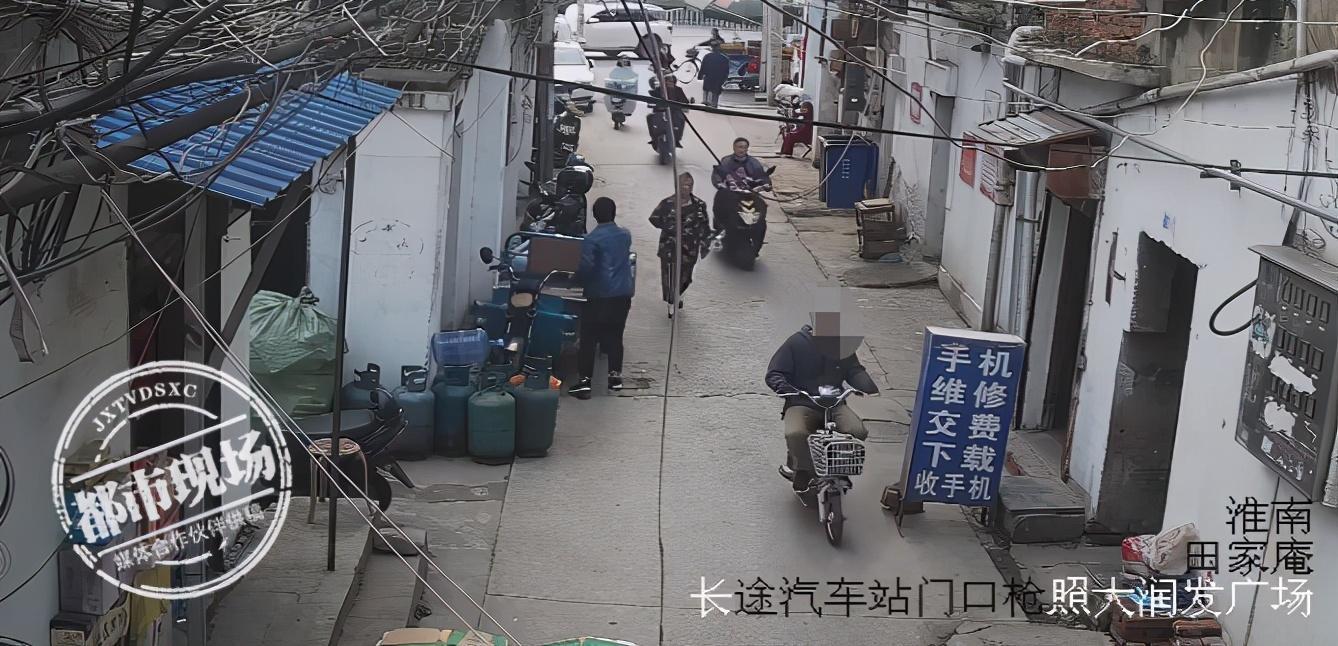 猪仔价格最新动态揭秘，小巷中的秘密宝藏