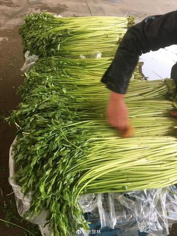 香河最新天气，阳光下的成长与自信之源