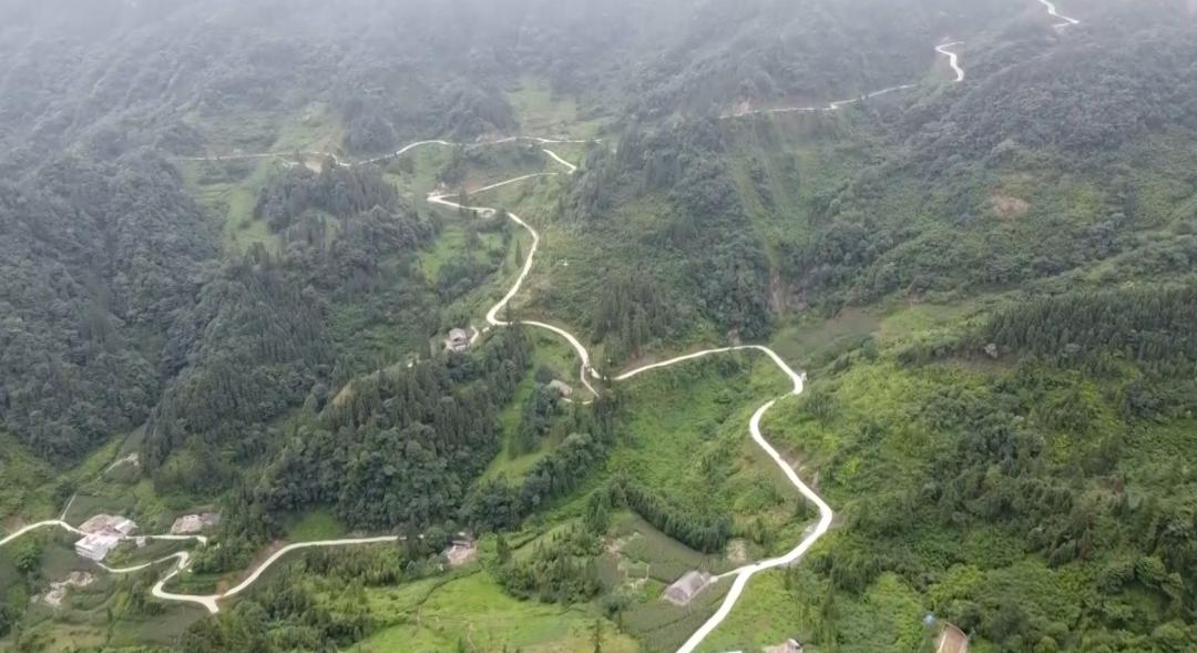 镇雄最新山歌，独特音乐魅力一览无余