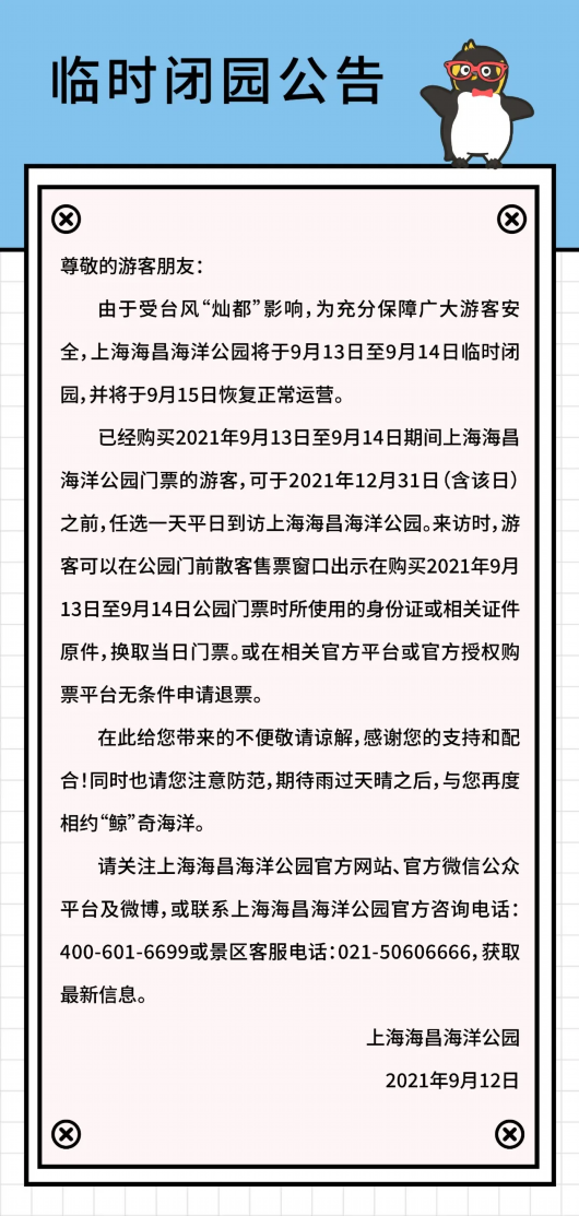 海国实最新公告与日常趣事，友情温馨篇章揭秘