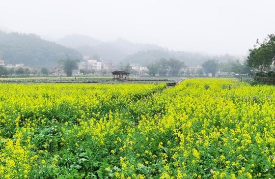 广州市最新房价探索，自然美景之旅与内心宁静的追寻