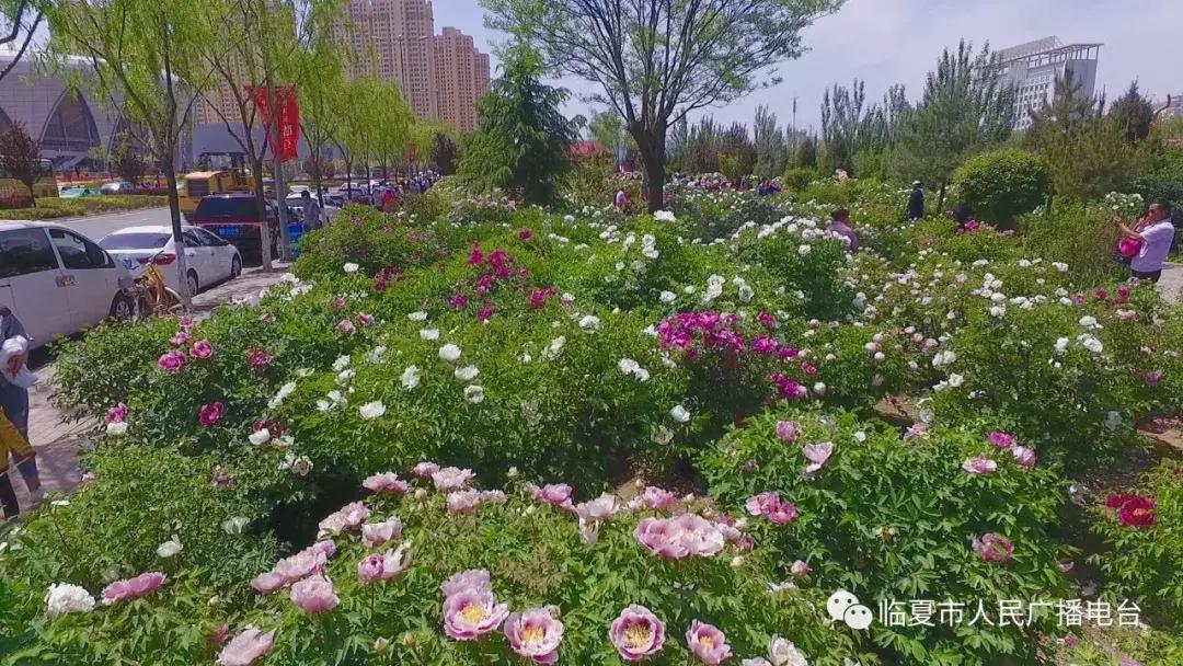 办公设备 第188页