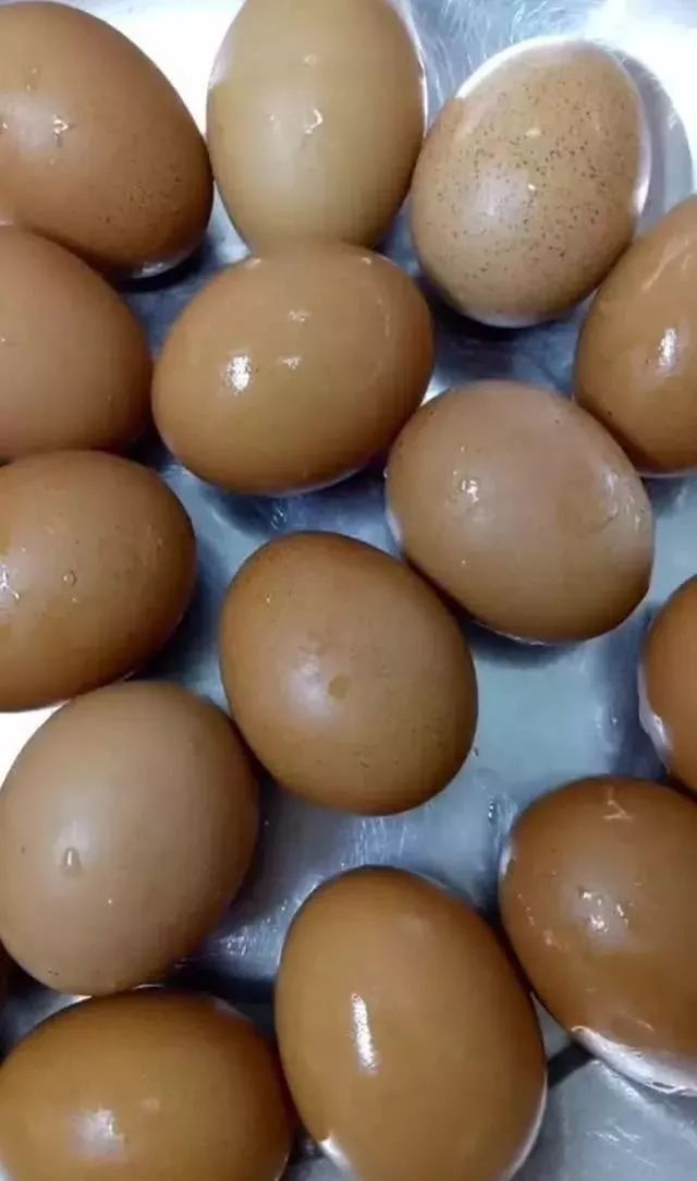 鸡的最新价格详解，购买指南与步骤攻略