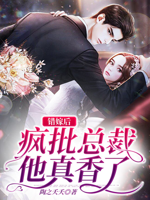 最新完结总裁小说，职场精英的浪漫人生与情感挑战之旅