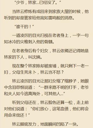 林云小说最新动态揭秘，探索要点、亮点与趋势预测