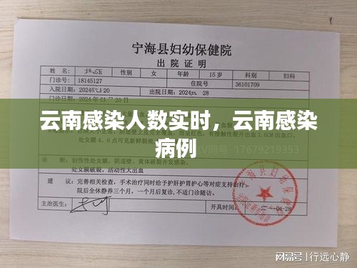 云南肺炎最新病例详解，全面指南助力了解与应对（初学者进阶用户均适用）