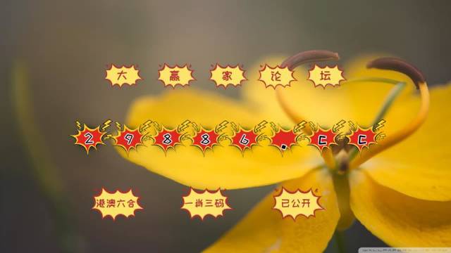 4949开奖免费资料澳门,科学解释分析_世界版57.581