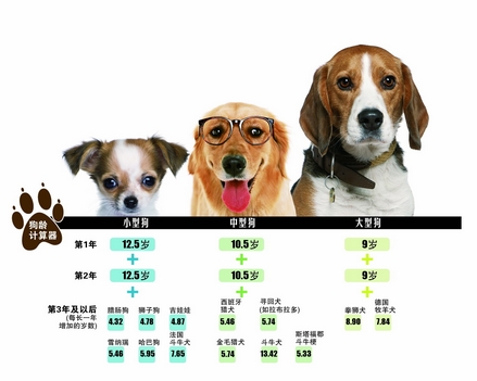 立伟网络科技 第114页
