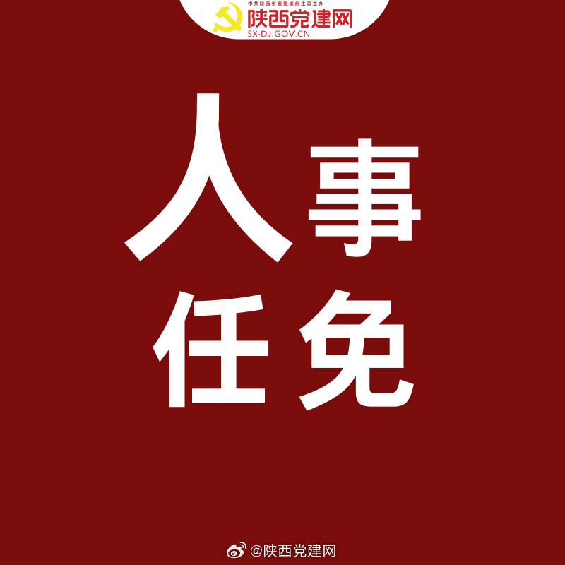 温情故事揭秘