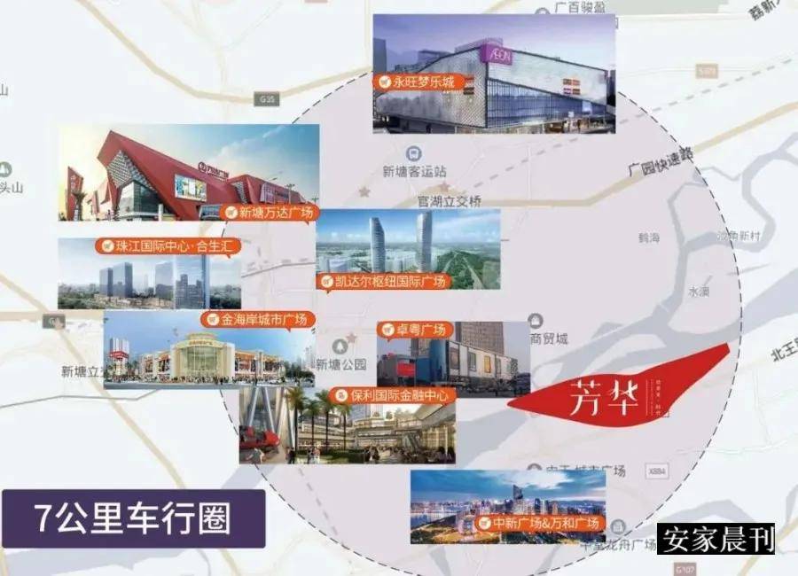最新免疫，背景、重要事件与地位的时代审视与探讨
