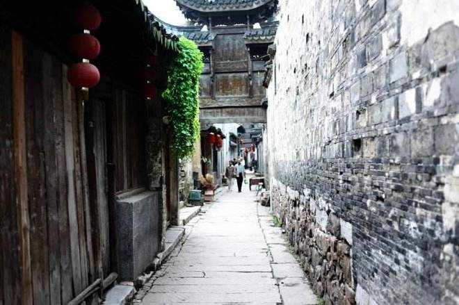 国脉最新，小巷中的隐秘瑰宝探索