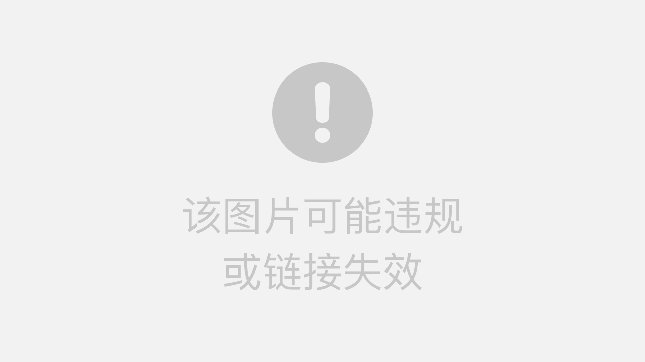 立伟网络科技 第13页